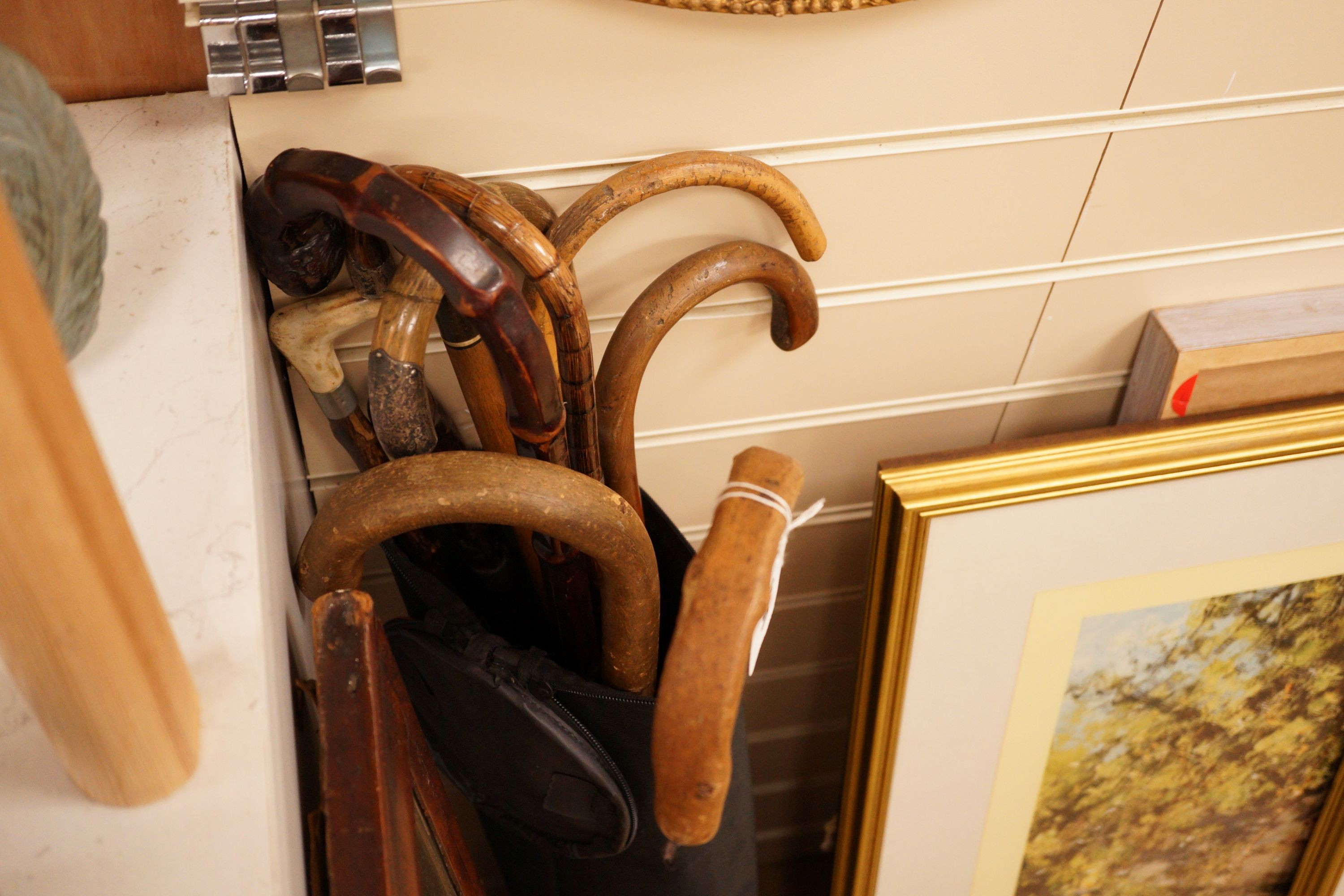 Ten Victorian and later walking sticks and canes, two silver mounted